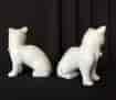 Chinese blanc-de-chine cats, 19th century -18117