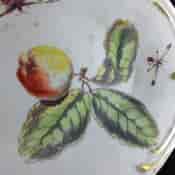 Derby dish with apple & bugs, C. 1765 -3752
