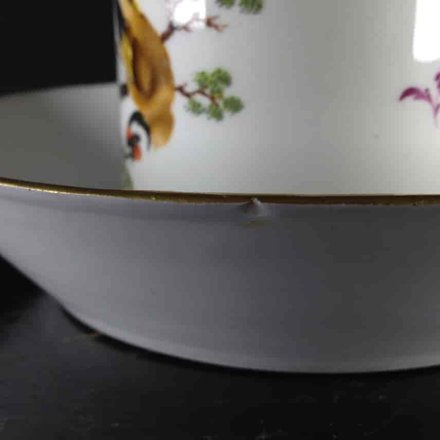 Thuringian porcelain coffee can & saucer, bird painting, C. 1805 -1930