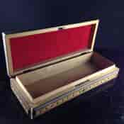 Anglo - Indian Oblong Box, Sadeli work, 19th century-2157