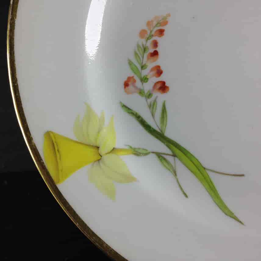 Swansea plate with flower specimens, c.1815 -2471