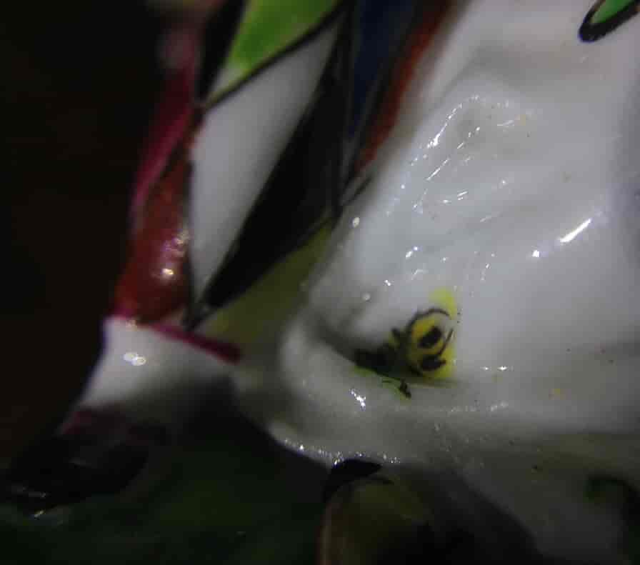 Girl-in-a-swing (St James’s) Harlequin & Columbine scent bottle C. 1755 -8945
