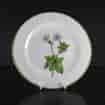 Swansea plate, Curtis botanical -Striped Geranium- c. 1810 -0