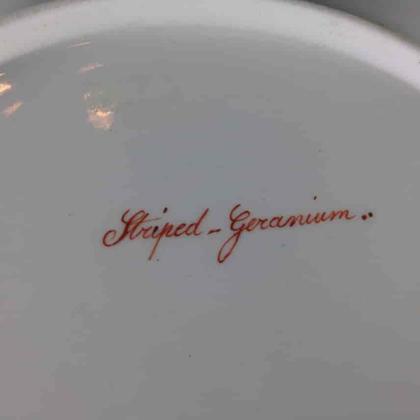Swansea plate, Curtis botanical -Striped Geranium- c. 1810 -1511