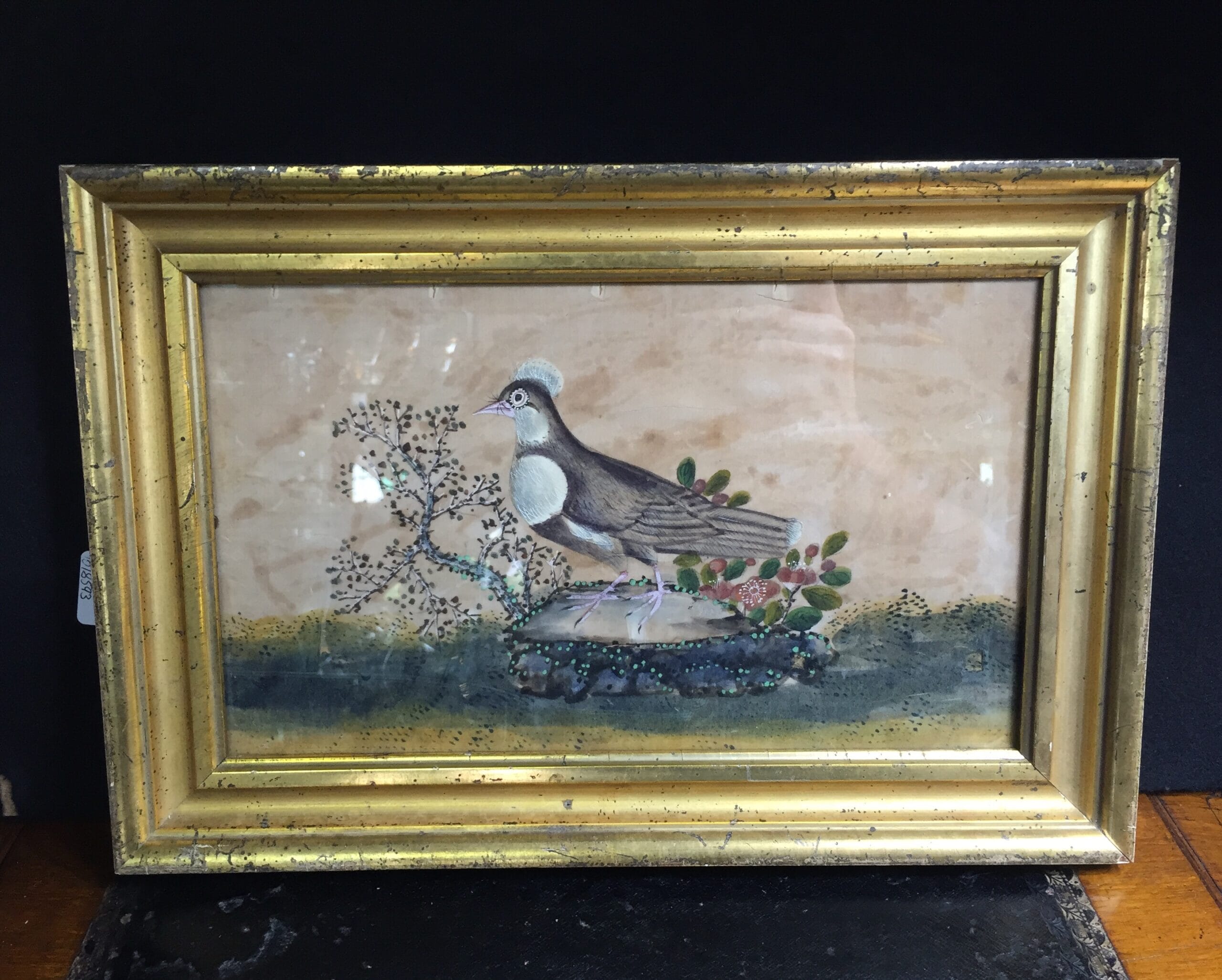 Chinese rice paper painting, a dove, early 19th century -0