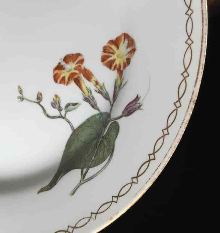 Wedgwood bone china plate, botanical specimens, C.1815 -12872