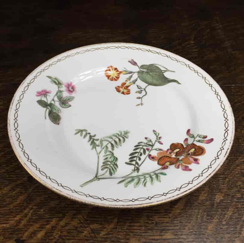 Wedgwood bone china plate, botanical specimens, C.1815 -12874