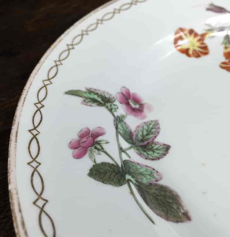 Wedgwood bone china plate, botanical specimens, C.1815 -12878