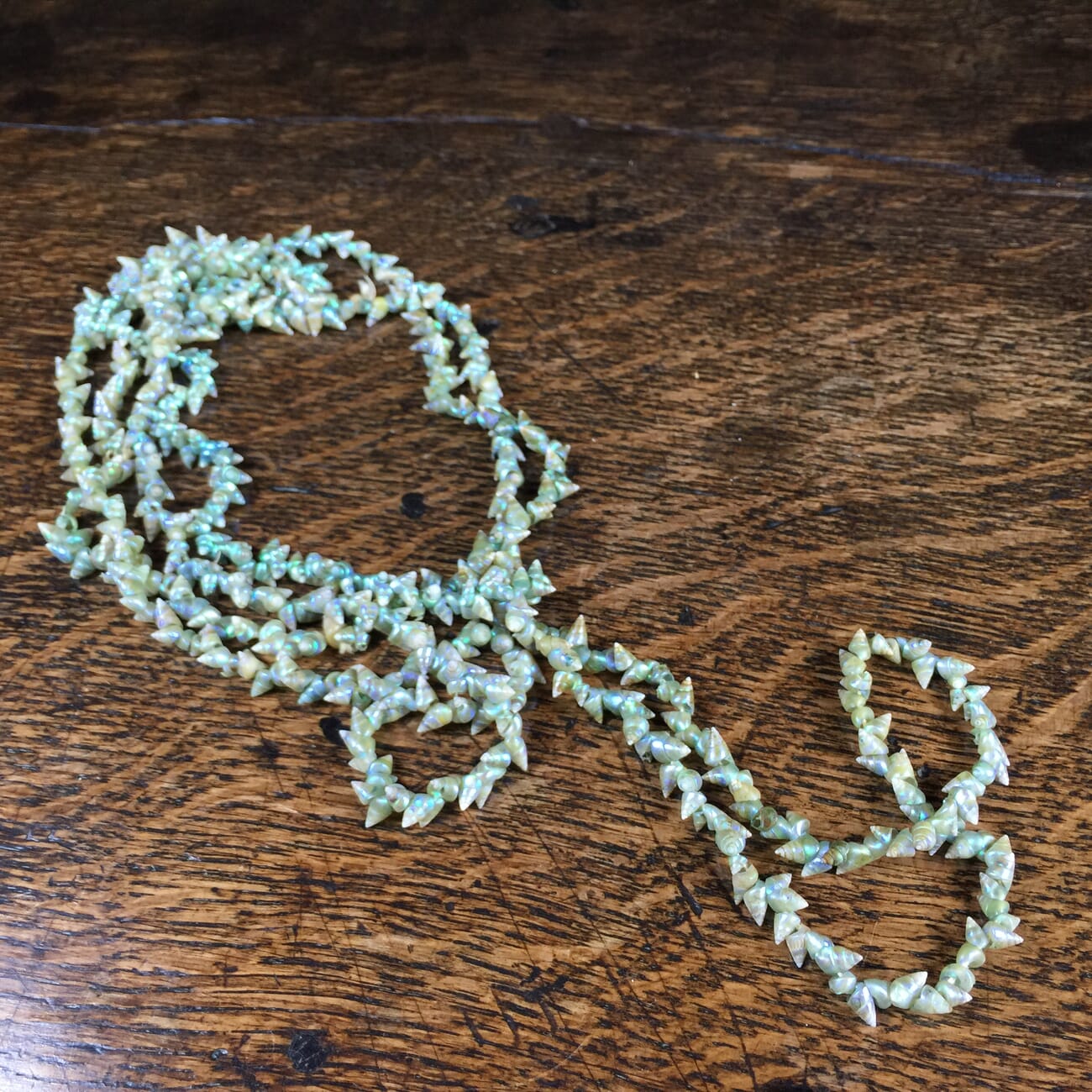 Tasmanian Marineer shell necklace, possibly Aboriginal made, early 20th century-13599