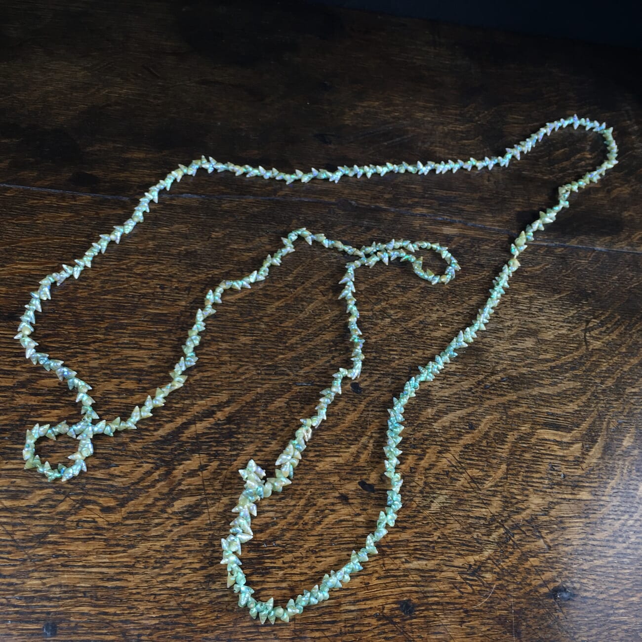 Tasmanian Marineer shell necklace, possibly Aboriginal made, early 20th century-13600