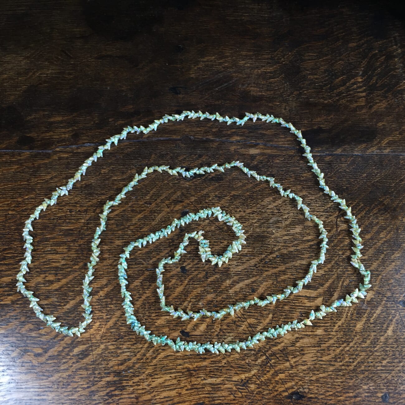 Tasmanian Marineer shell necklace, possibly Aboriginal made, early 20th century-0
