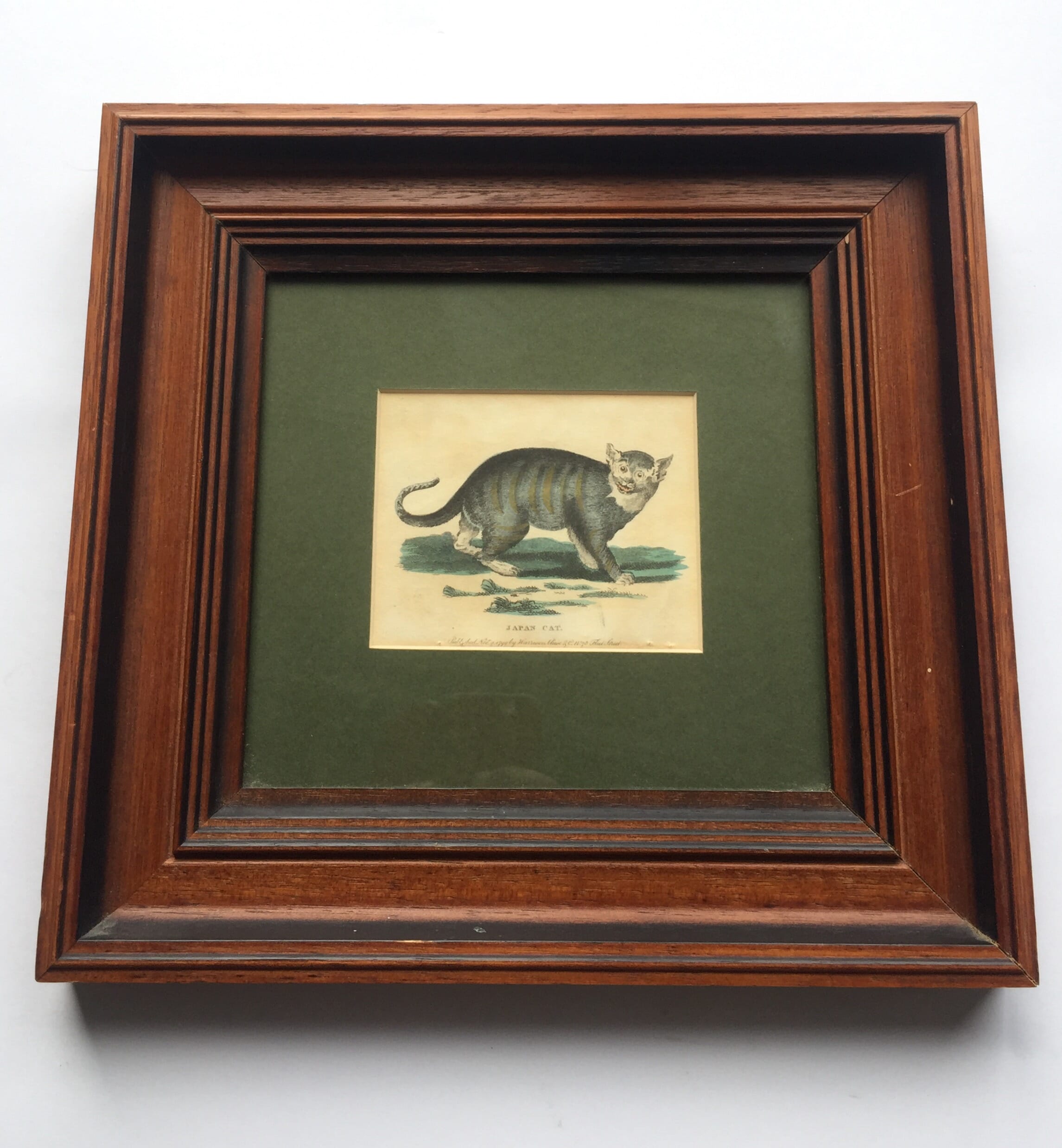 Coloured print of "JAPAN CAT", published 1799-0