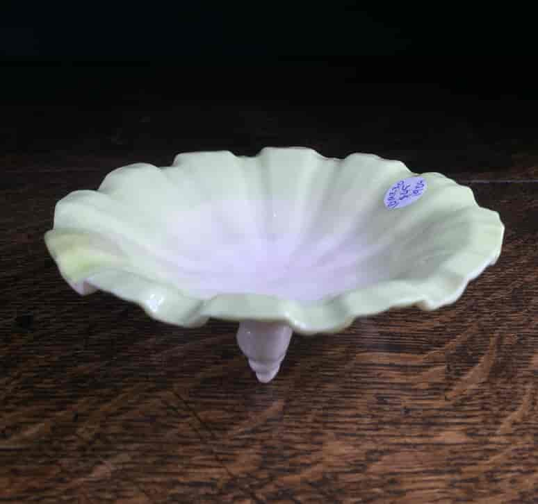 Royal Worcester shell shaped dish, dated 1904-14799