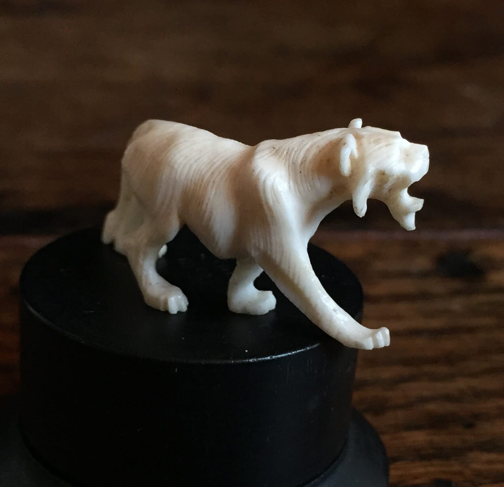 Ivory tiger , Japanese c.1900-0