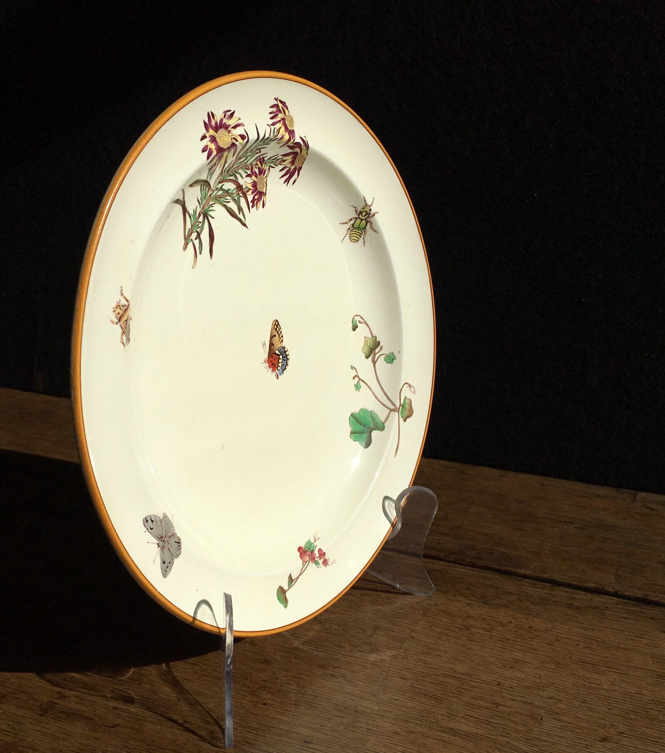 Wedgwood plate printed with butterfly & insects, Mortlocks, 1882-16868 ...