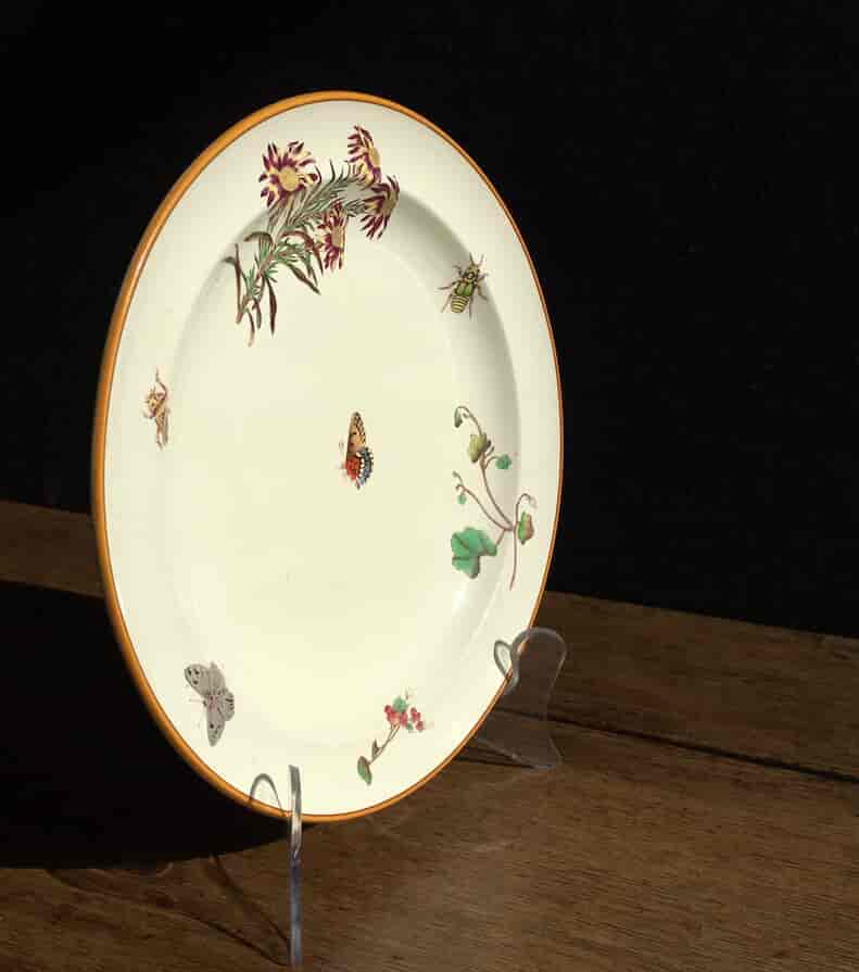 Wedgwood plate printed with butterfly & insects, Mortlocks, 1882-16868