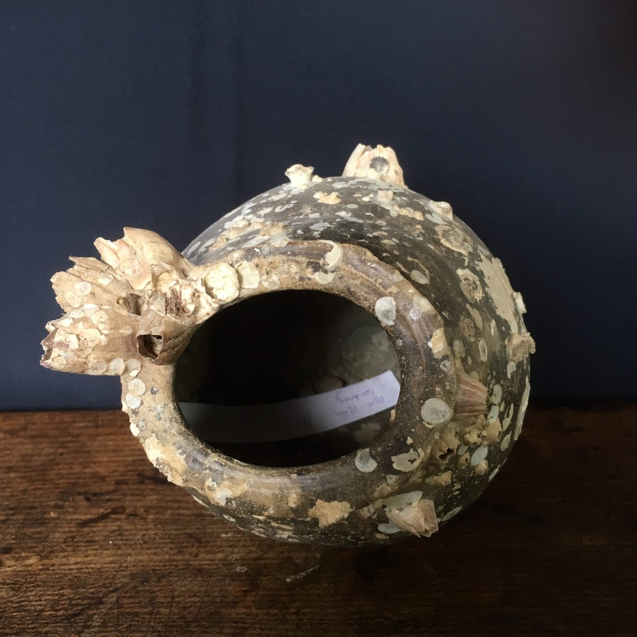 Song dynasty shipwreck pot, encrusted, 13th century -18688