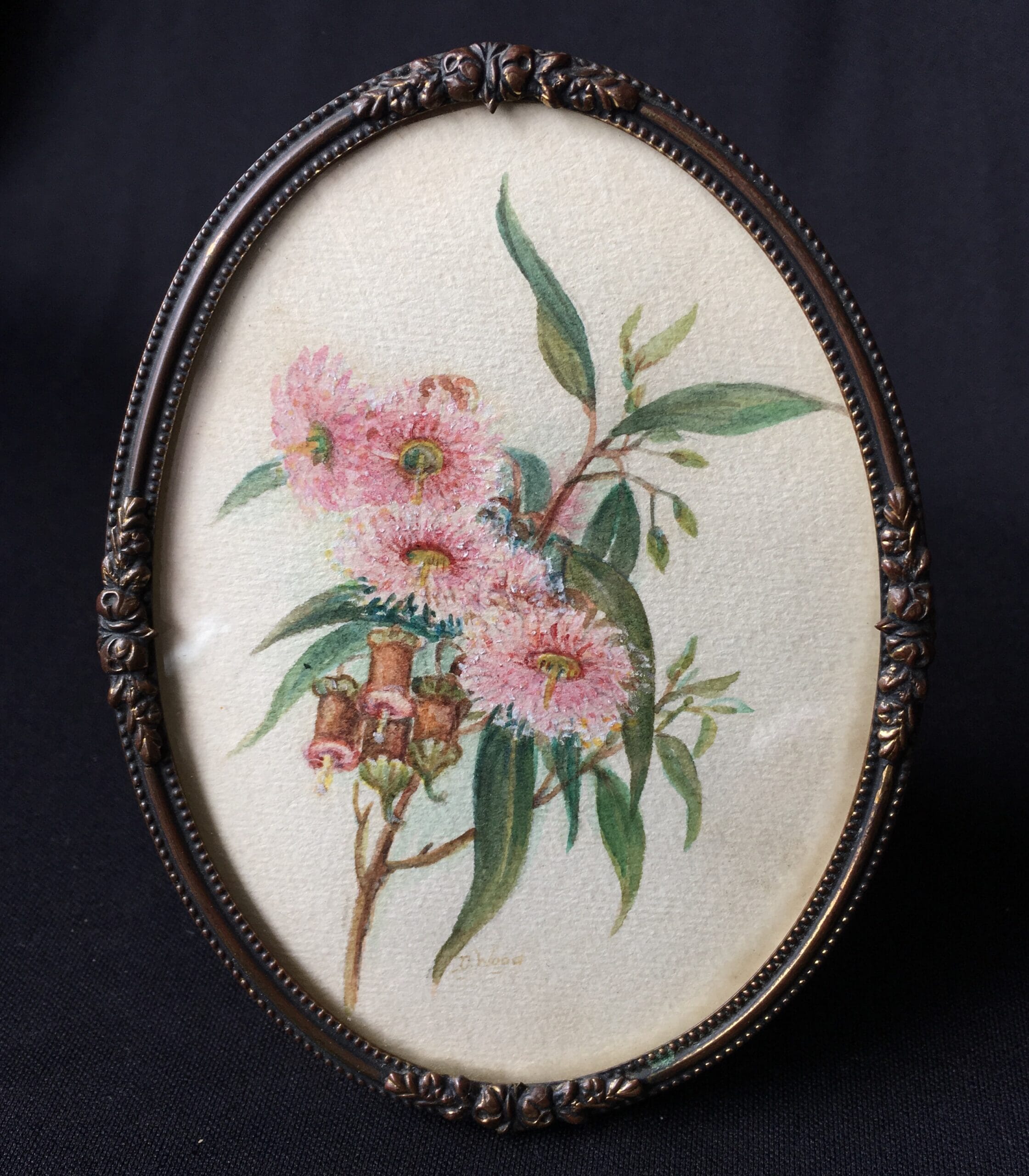Original Daisy Wood watercolour 'flowering gum', mid 20th century-0