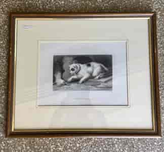 Framed print of a dog titled "Too Hot To Hold" c. 1875-0