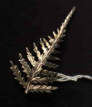Australian Silver fern bar brooch, later 19th century.-0