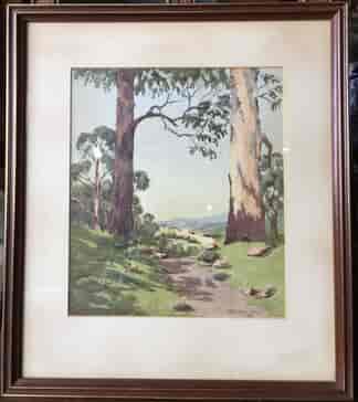 Australian water colour, bluegums, signed WB Stracham , 1924-0