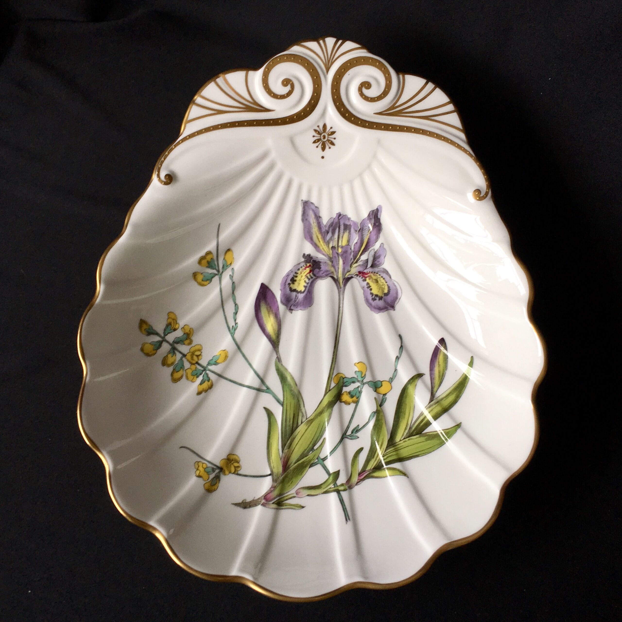Spode bone china shell shape dish with Iris print, 20th century-0