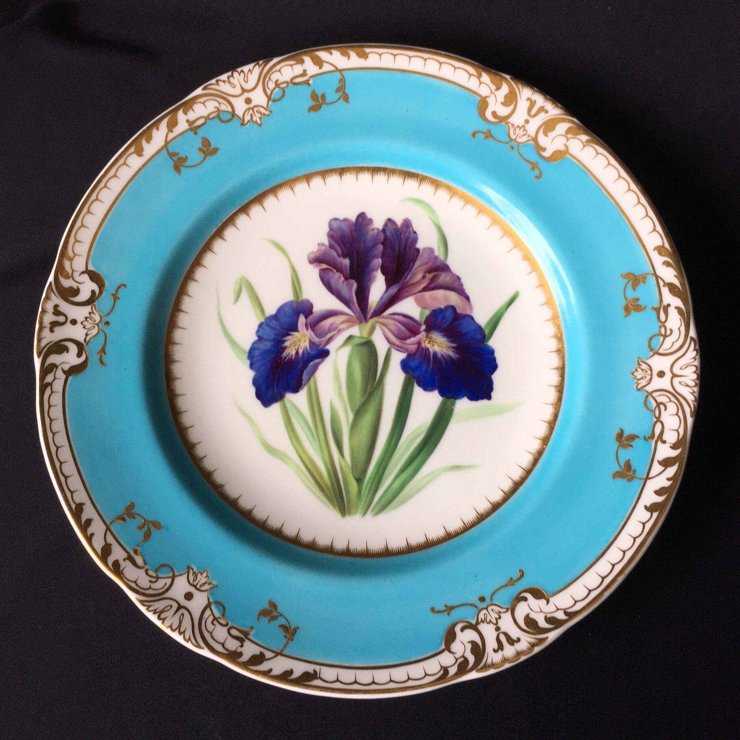 Finely painted bone china plate with Iris, probably Minton, 1853-0