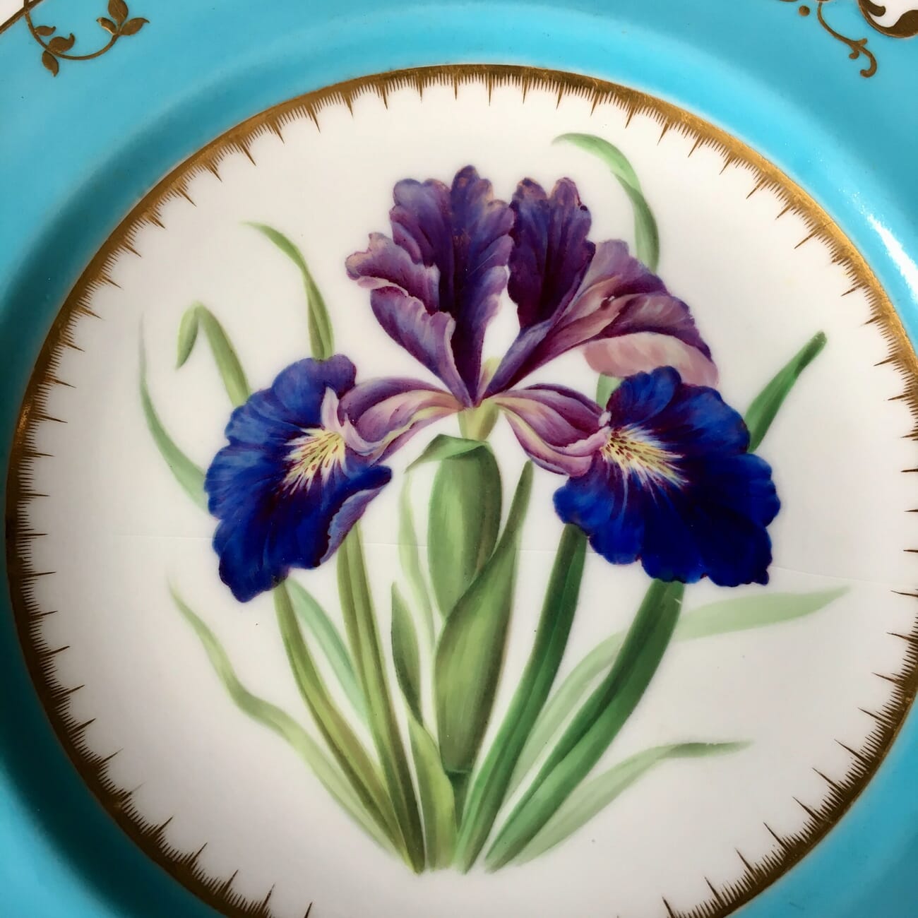 Finely painted bone china plate with Iris, probably Minton, 1853-21514