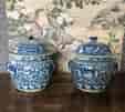 Pair of Chinese porcelain pots, cricket handles, 20th century-0