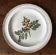 Wedgwood creamware plate, botanical prints, c. 1880-0