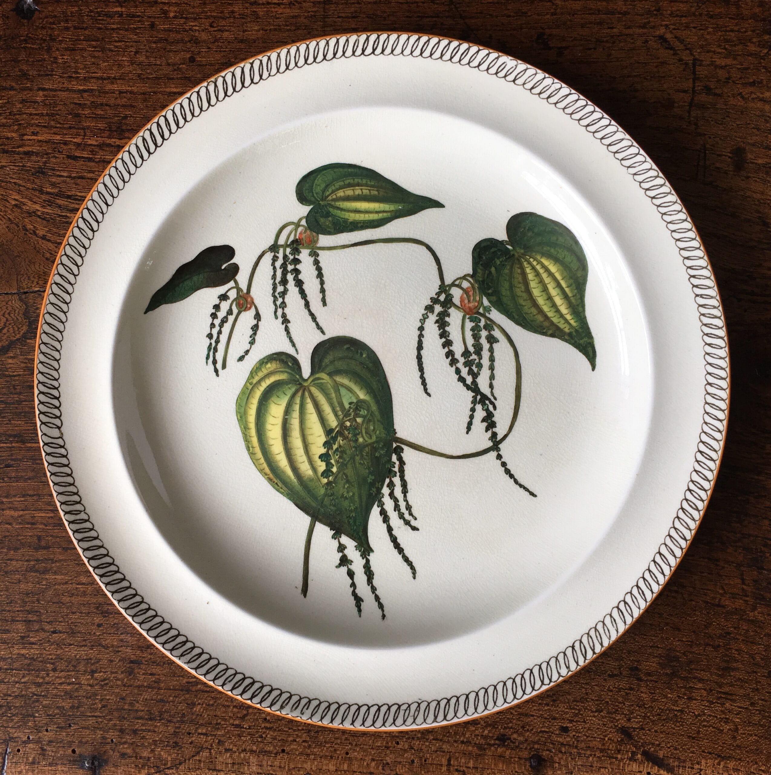 Wedgwood creamware plate, botanical prints, c. 1880-0