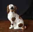 Staffordshire pottery dog of medium size, with copper lustre spots, c. 1870-0