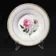 English porcelain plate with rose, c. 1825-0