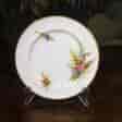 Royal Worcester plate, flowers and ferns, 1886-0