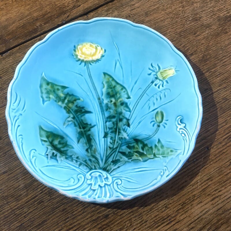 Continental majolica dandelion dish, c. 1900-0