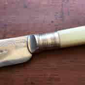 Edwardian plated engraved cake knife, bone handle, c. 1910 -33177