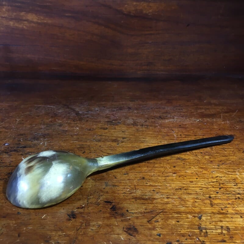 Horn serving spoon, probably Scottish, c.1880 -0