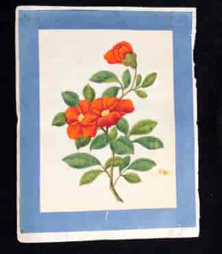 Camellia Flower, Chinese Pith Painting circa 1820