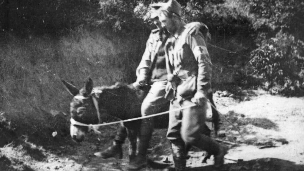 Simpson & his Donkey Duffy