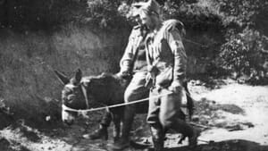 Simpson & his Donkey Duffy