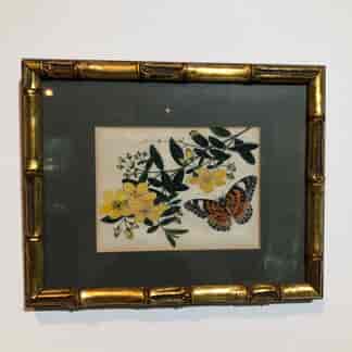 Chinese Export Pith Painting, butterfly & flowers, mid 19thc