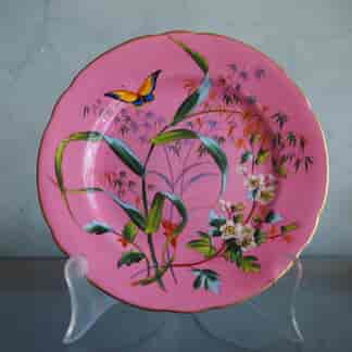 Victorian Bone China plate, pink with flowers & butterfly, patt. 144. c.1870