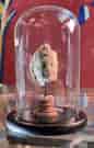 Display Glass Dome - NEW - 17.5cm high, 9.5cm wide
