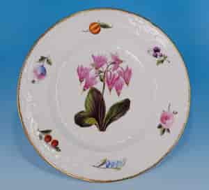 Nantgarw c-scroll botanical dish, Bradley decorated circa 1820