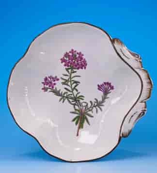 Swansea pearlware botanical shell serving dish, ‘Trailing Daphne’, by Pardoe C. 1802-10