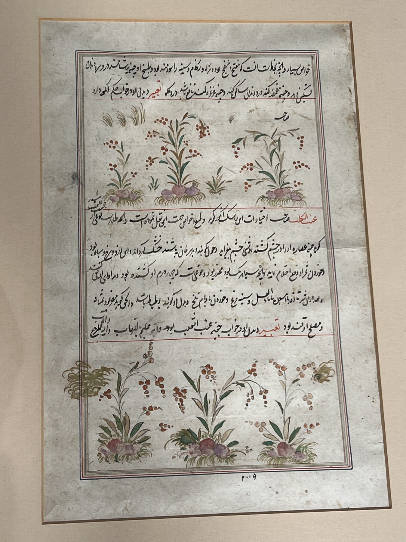 Persian 'Kitab-i hasha'ish' - Materia Medica of Dioscurides,
