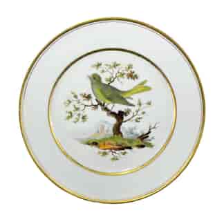 Paris porcelain plate, bird by Darte Aine, le Serin Hupe (exotic canary), c.1815
