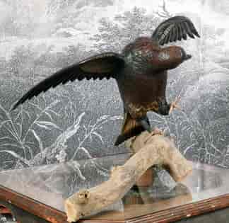 Japanese carved wooden Eagle, life-size on branch, 19th century
