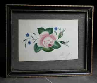Watercolour of a rose & forget-me-nots, by Elizabeth Fry 1848
