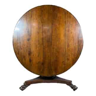 William IV rosewood tilt-top round table with lions paw feet, c.1825